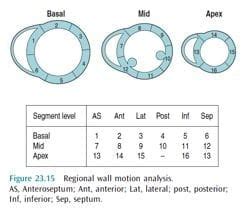 lv function grading|lv echocardiography preload.